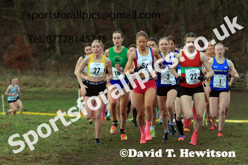 Junior Womens 2024 Northern Cross Country Champs., Sedgefield. Photo: David T. Hewitson/Sports for All Pics